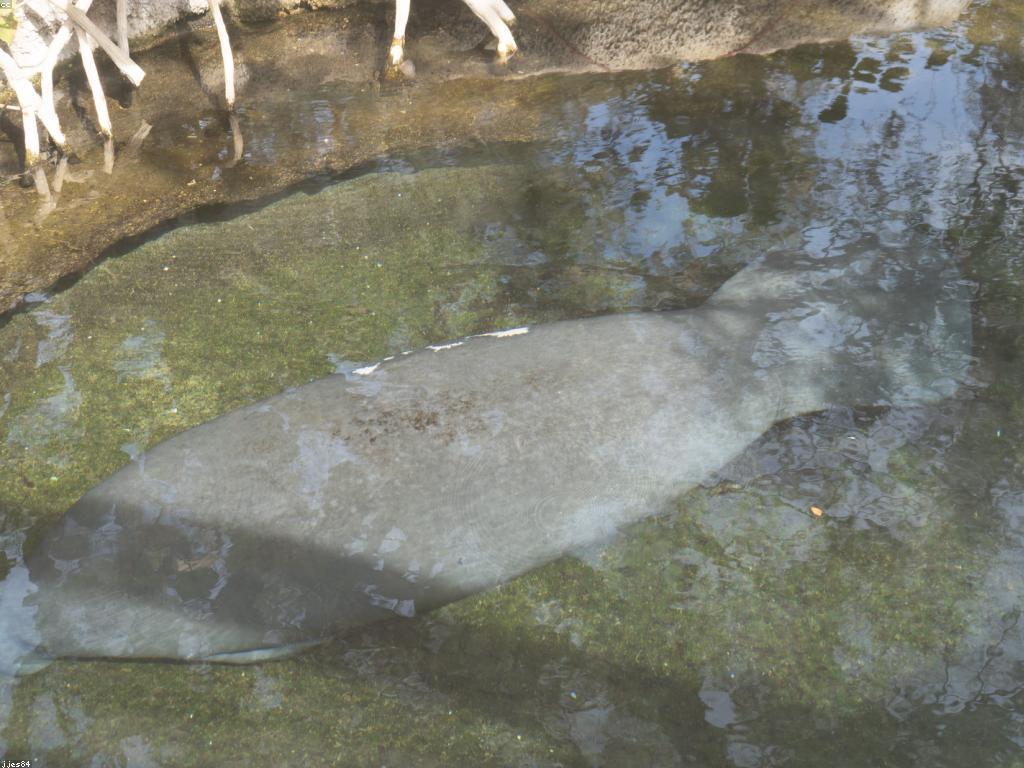 និយមន័យនៃការបង្ហោះបាញ់ត្រី និងគន្លឹះសំរាប់អ្នកចាប់ត្រី