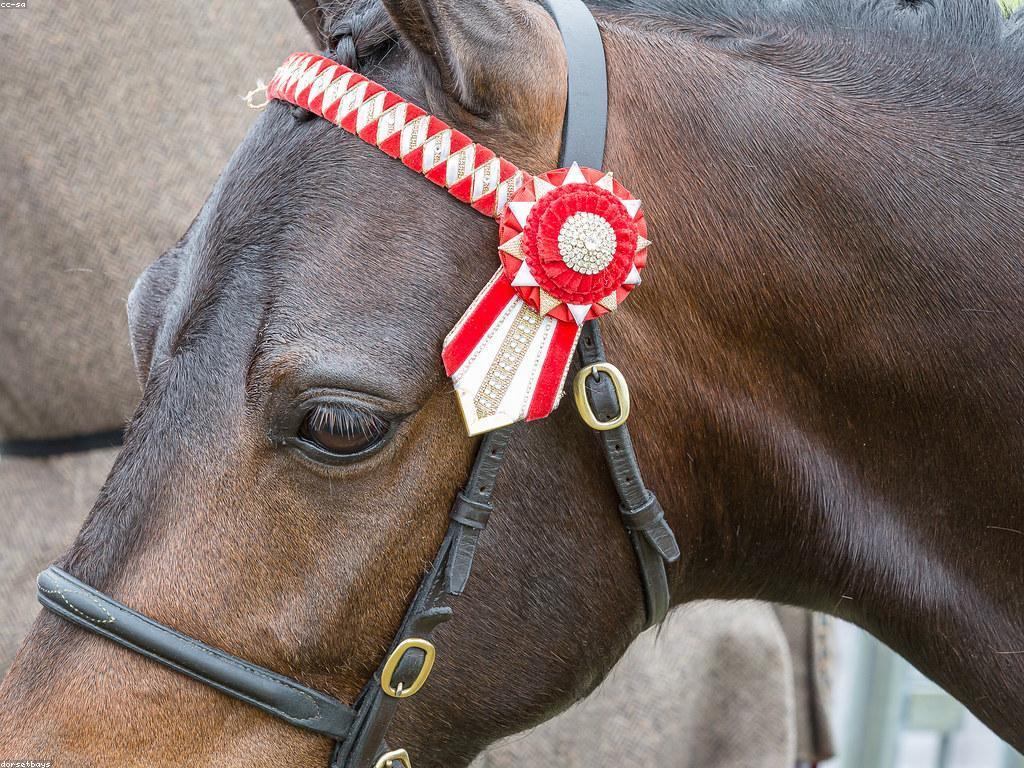 យុទ្ធសាស្ត្រល្អៗសម្រាប់ឈ្នះការប្រកួតនិងរង្វាន់