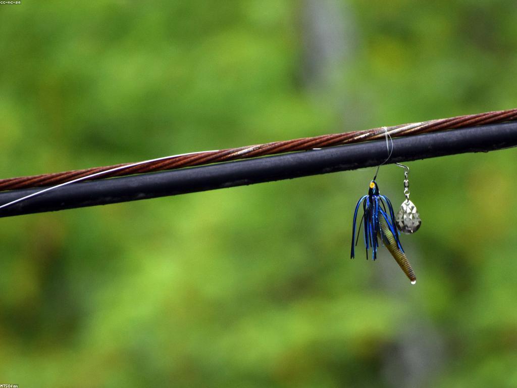 យុទ្ធសាស្ត្របាញ់ត្រីសំរាប់អ្នកចាប់ត្រីថ្មី