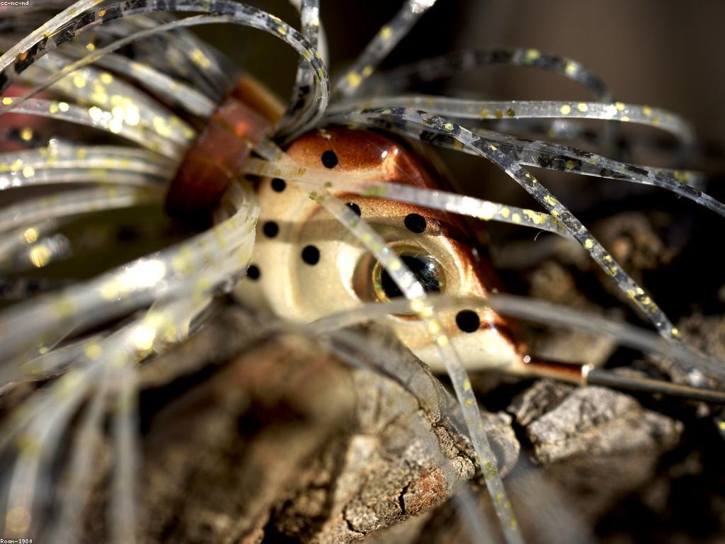 យុទ្ធសាស្ត្របាញ់ត្រី៖ ដំណឹងថ្មីនិងគន្លឹះសំខាន់