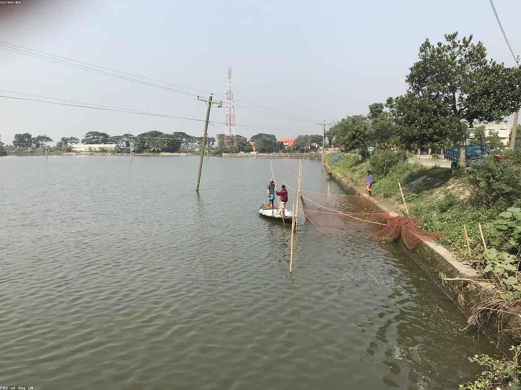 បច្ចេកទេសការ​បាញ់ត្រី