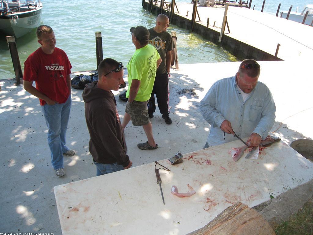 យុទ្ធសាស្ត្របាញ់ត្រីនៅក្នុងទន្លេ