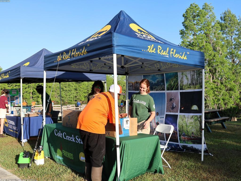 យុទ្ធសាស្ត្របាញ់ត្រីនៅលើទន្លេ