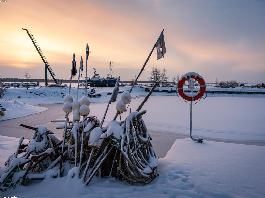 កម្រិតខ្ពស់នៃការបង្ហោះបាញ់ត្រី
