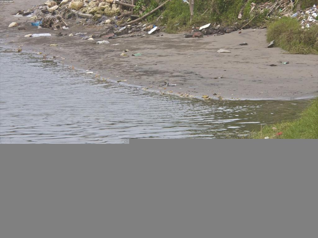 យុទ្ធសាស្ត្របាញ់ត្រីនៅលើទន្លេ