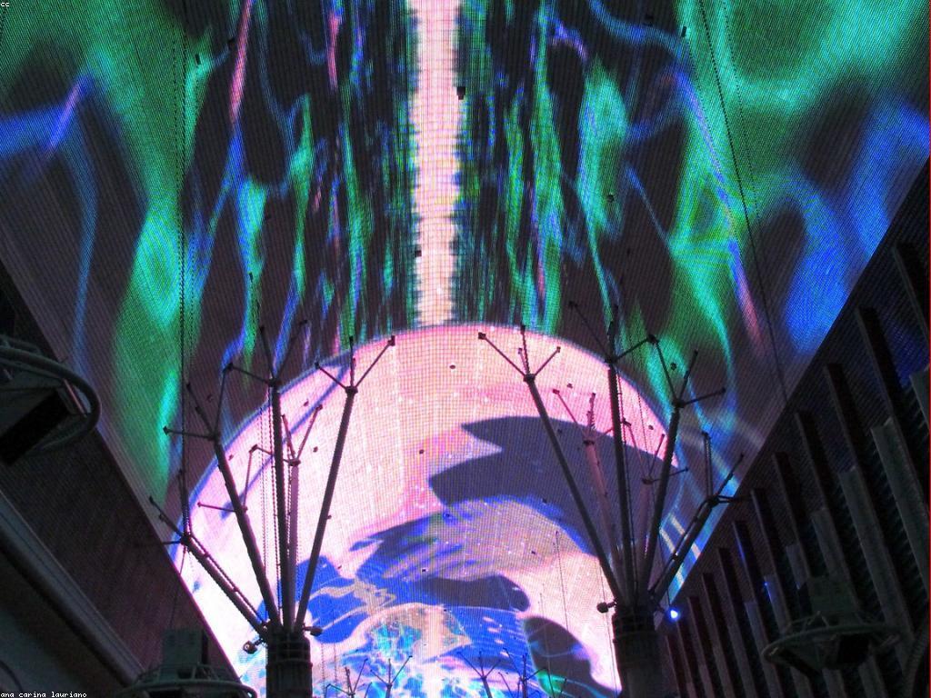 យុទ្ធសាស្ត្របំផុសឱ្យឈ្នះក្នុងការបង្ហោះបាញ់ត្រី casino