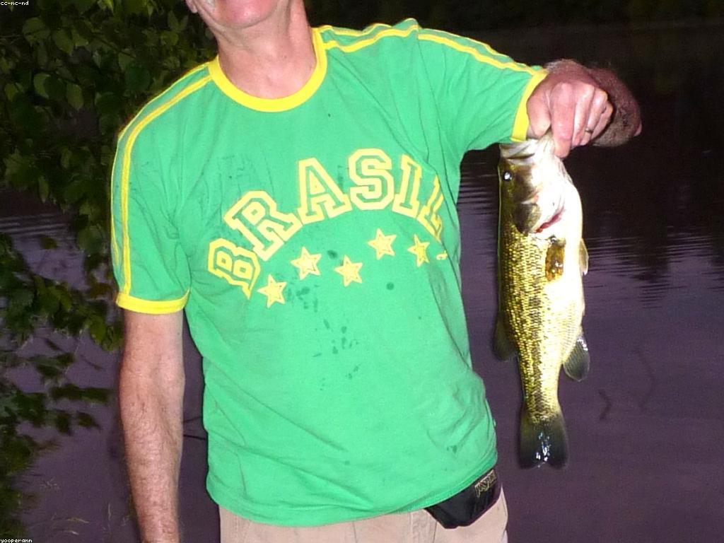 បច្ចេកទេសការ​បាញ់ត្រី